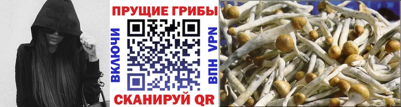 Галлюциногенные грибы Cubensis  blacksprut ссылки  Шарыпово 