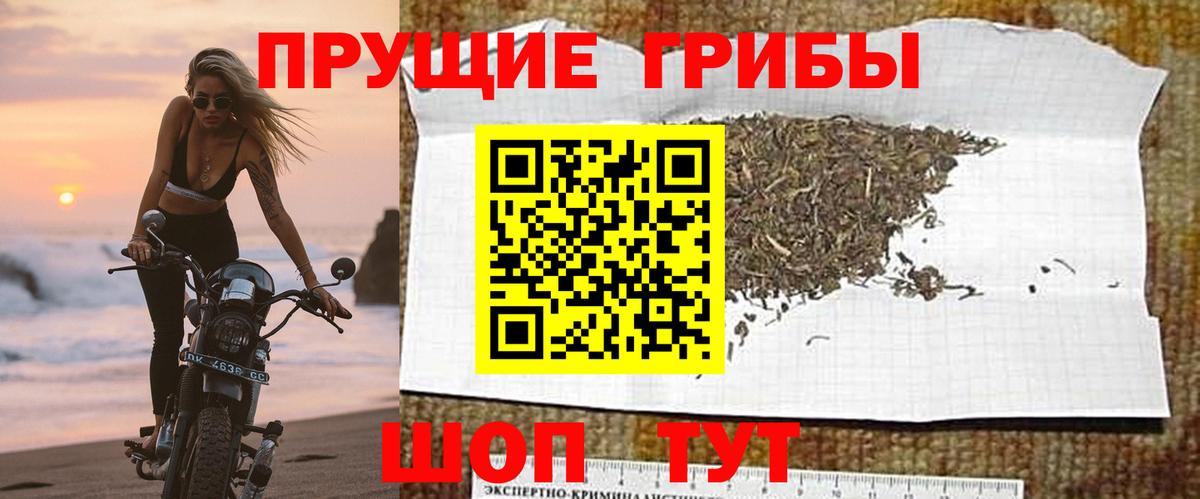 Cocaine  LSD-25  Меф кристаллы  Вход с VPN  Шарыпово  Экстази  ГАШ  A PVP СК   Марихуана  ГАШИШ 