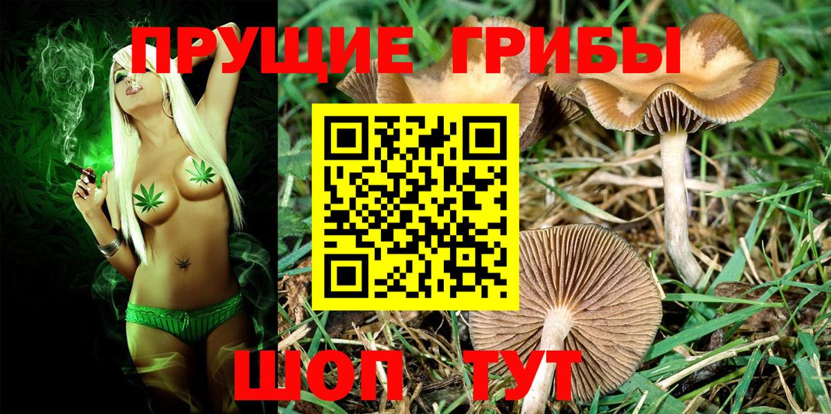 Шарыпово  Галлюциногенные грибы мицелий  где можно купить   Вход с VPN 